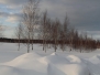 Даниил Макеев. Природа.
