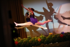 dd2019_047