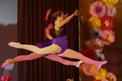 dd2019_048