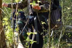 DSC07784