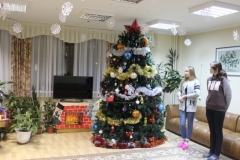 Новогодние_коттеджи_022