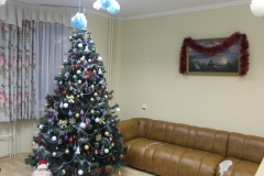 Новогодние_коттеджи_032