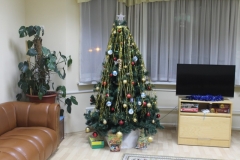 Новогодние_коттеджи_044