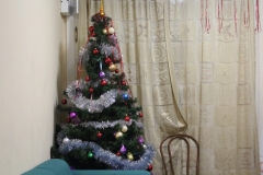 Новогодние_коттеджи_060