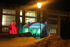 Новогодние_коттеджи_071