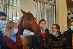 КСК-Дивный-6
