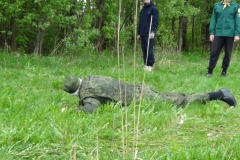 image066