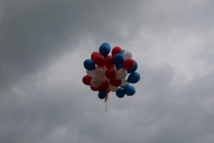 lr2018_253