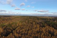 DCIM100MEDIADJI_0040.JPG