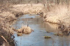 IMG-20200410-WA0005