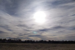 IMG-20200410-WA0014