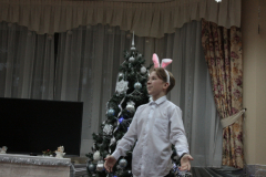 Конкурс_новогодних_коттеджей_024
