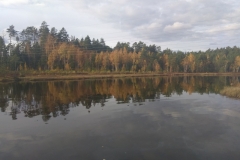 MnaGcqdUuEk