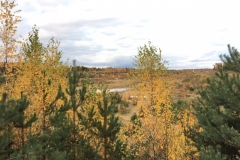 qPvoRJfBeHM