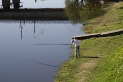pskov10a_184
