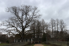 pskov9a_080