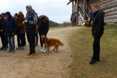 pskov9a_181