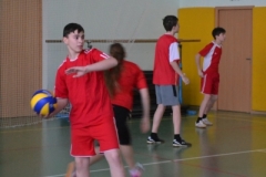spartakiada (23)