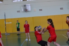 spartakiada (49)