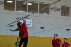 spartakiada (80)