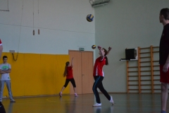 spartakiada (86)