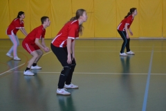 spartakiada (91)