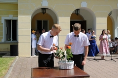 vipusk242